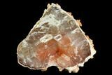 Orange Aragonite on Scalenohedral Calcite - Mexico #127083-1